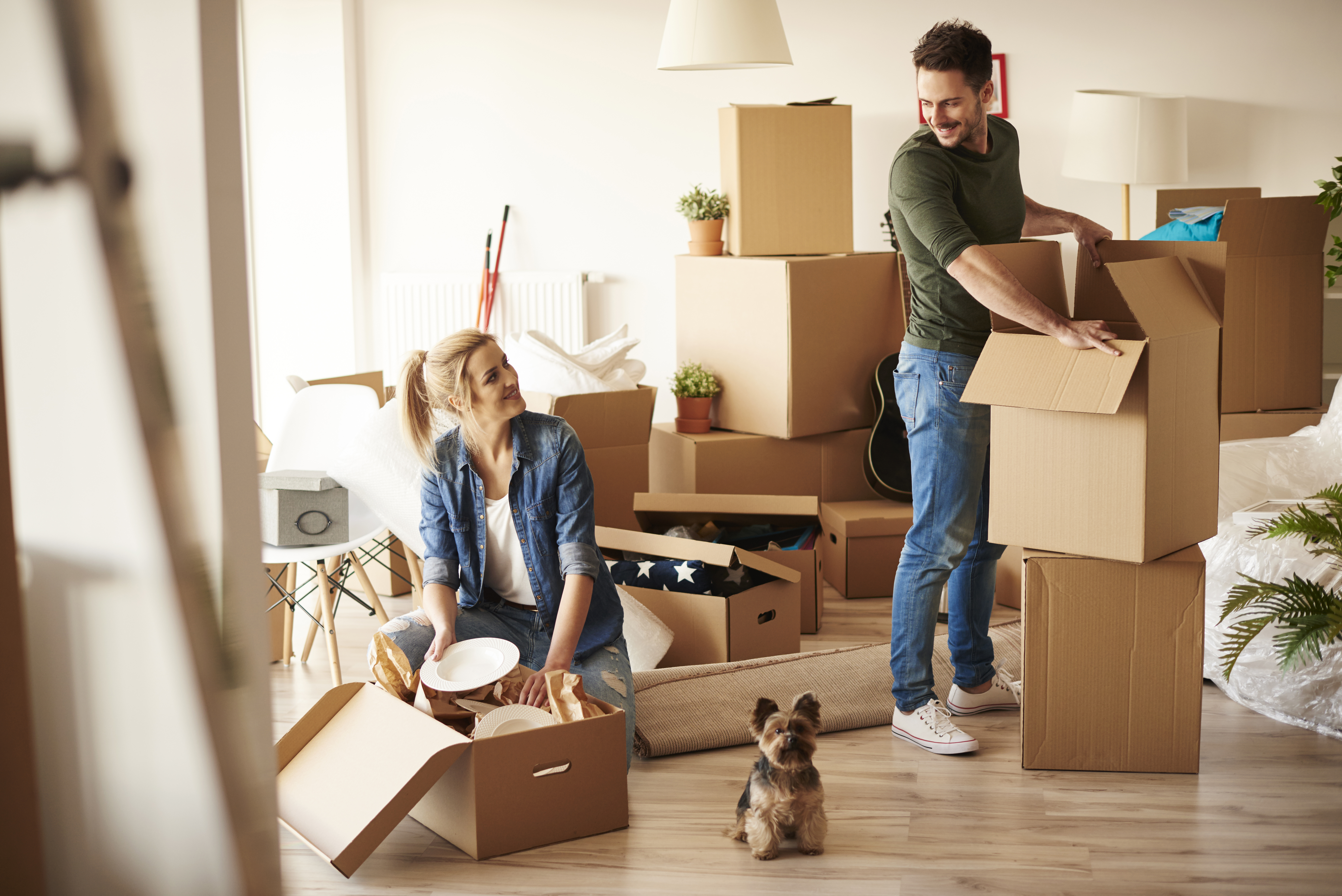 Global Safe Relocation Office Shifting